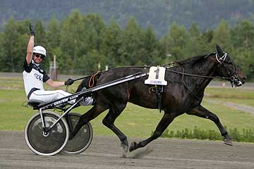 H.G. Balder